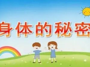 《身体的秘密：给宝宝的第一堂人体认知课》年糕妈妈视频课程