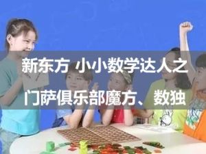 新东方 小小数学达人之门萨俱乐部魔方、数独