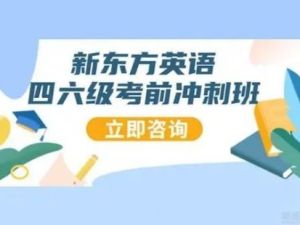 【新东方】英语四级2023年6月全程班 百度网盘