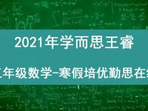 2021学而思王睿 四年级数学春季培优勤思在线