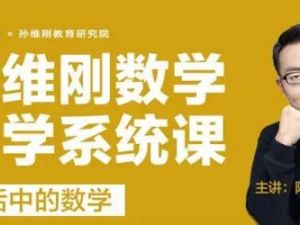 (孙维刚教育研究院)陈硕老师小学数学思维能力提升视频