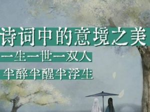 品味诗意人生，最美古诗词（视频）