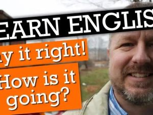 加拿大Bob英语口语（口语宝典）全集视频