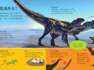 儿童自然科普《给孩子的博物学》mp3音频共45集