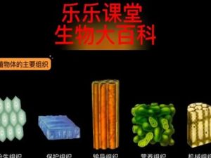 乐乐课堂生物大百科为6~12岁孩子搭建一个神奇的生物世界
