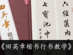 《田英章楷书行书教学》少儿童书法教程