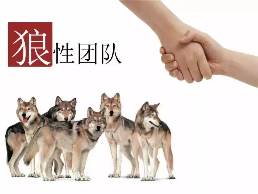 【跟谁学】打造狼性团队，赢得闪电发展第1张