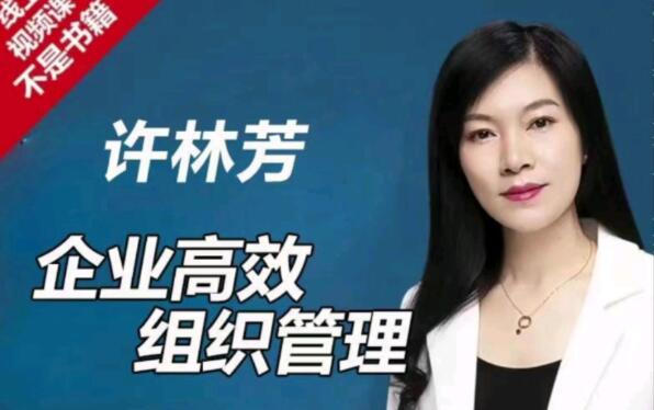 许林芳《企业高效组织管理》课程视频第1张