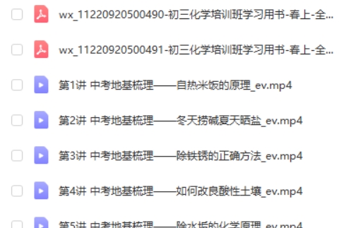 2023陈谭飞初中初三化学(春上全国版S)网课视频第2张