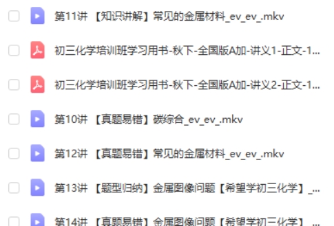 2024陈谭飞初中初三化学秋季下A+网课视频第2张