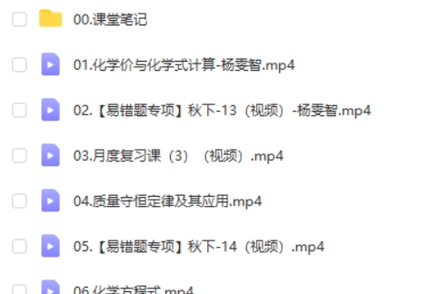 2024杨雯智初三中考化学S秋季班下网课视频第2张