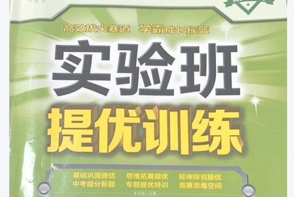2025初中实验班提优 789年级下册（多版本） PDF下载第1张