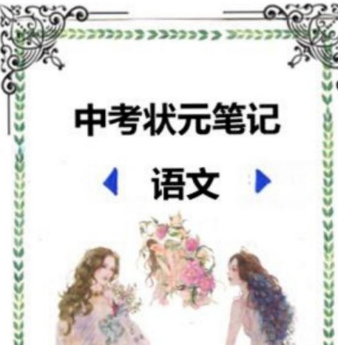 2022中考状元笔记(语文)第1张