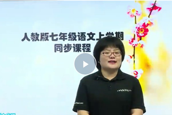 初中初一语文人教版（部编人教版）网课视频第1张