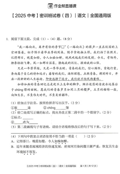 2025作业帮初三语文中考密训卷及答案PDF下载第2张