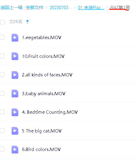 未泱Raz精读课初级+中级+高级+ket通关+桥梁第4张