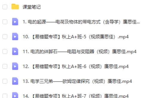 2024廉思佳初三物理(暑假)网课视频第2张