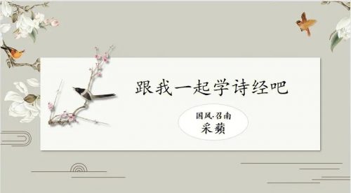 【芝麻学社】给孩子的诗经课-ahashool（音频）第1张