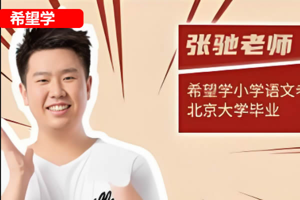 张弛小学五年级语文A+班2025希望学上下网课视频第1张