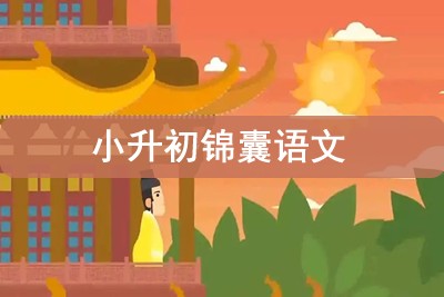 乐乐课堂系列-小升初锦囊语文动画视频共27集第1张