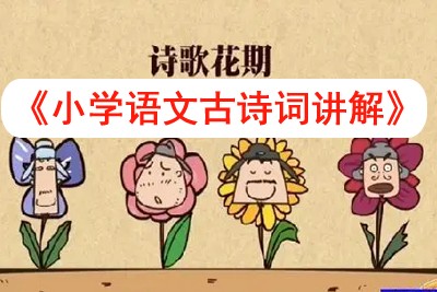 乐乐课堂小学语文古诗词讲解视频《乐乐课堂天天练语文》共386集第1张