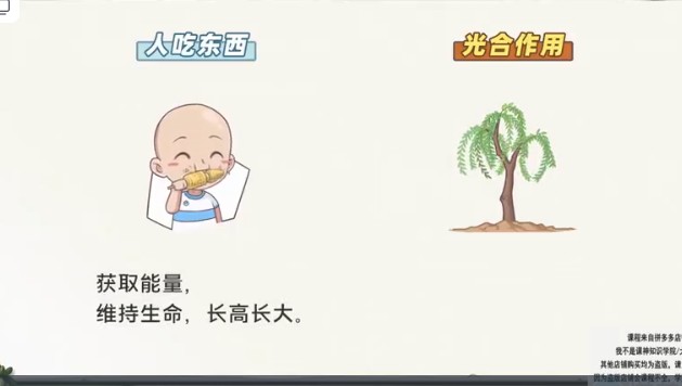 洋葱学院-新版洋葱小学自然启蒙动画课网课视频第2张