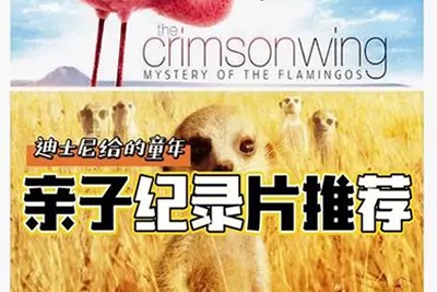 《13部迪士尼自然纪录片》高清视频最强动物类纪录片合集第1张