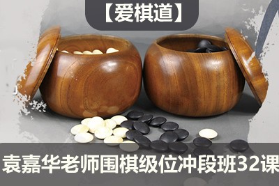 【爱棋道】袁嘉华老师围棋级位冲段班32课时第1张
