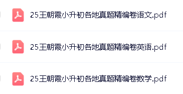 2025新版王朝霞小升初各地真题精编第2张