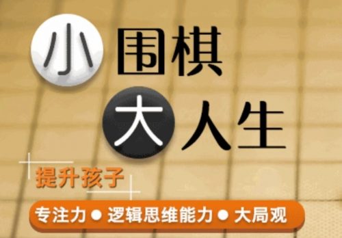 凯叔少儿围棋启蒙课 26课全第1张