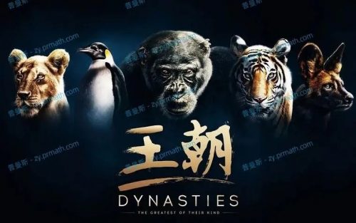 BBC超燃纪录片《王朝》全集视频第1张