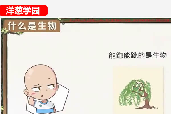 洋葱学园2023小学自然课程(科学)(1-6年级通用)网课视频第1张