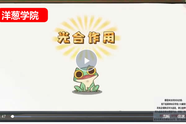 洋葱学院-新版洋葱小学自然启蒙动画课网课视频第1张