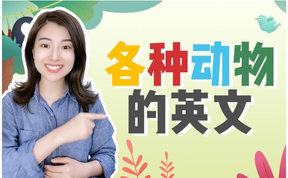 雪梨老师25套小学英语王炸学习资料第1张