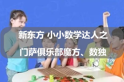 新东方 小小数学达人之门萨俱乐部魔方、数独第1张