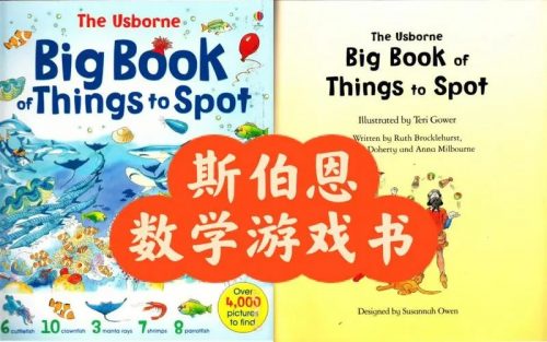 斯伯恩数学游戏书《The Usborne Big Book of Things to Spot》共1册PDF第1张