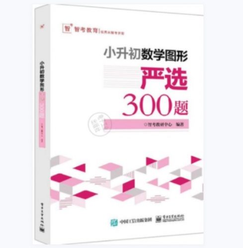 小升初数学图形:严选300题PDF电子版文档下载第1张