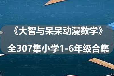 《大智与呆呆动漫数学》全307集小学1-6年级合集第1张