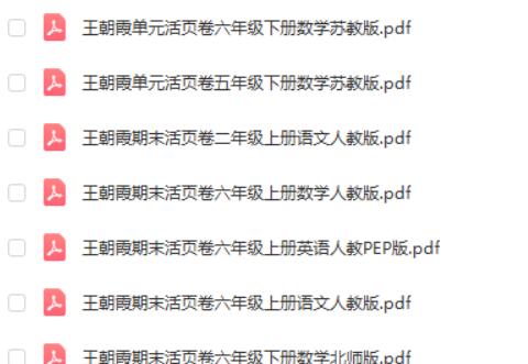 王朝霞期末活页卷 1-6年级第2张