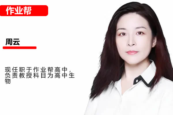 2025作业帮周云高三高考生物A+暑假班 网课视频第1张