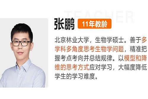 2025张鹏生物高三高考生物秋季班网课视频+讲义第1张