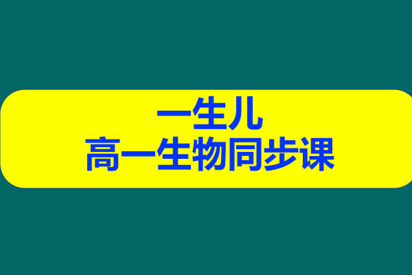 一生儿 高一生物同步课网课视频第1张
