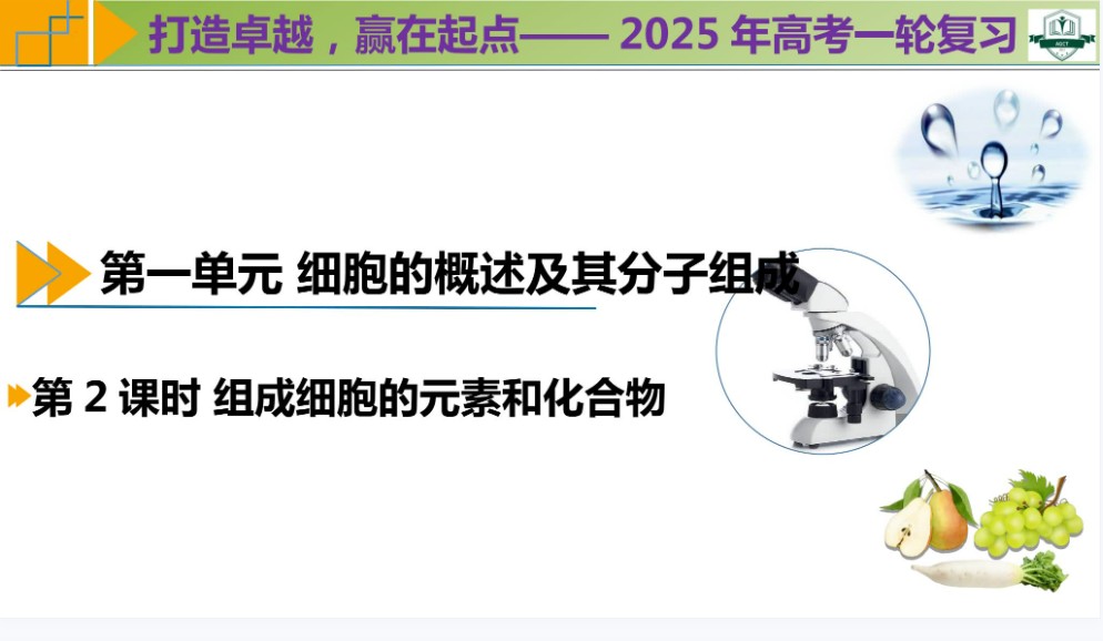 2025高考生物 新高考 一轮复习资料包第1张