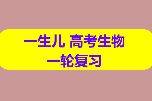 2025【一生儿】高考生物一轮复习网课视频第1张