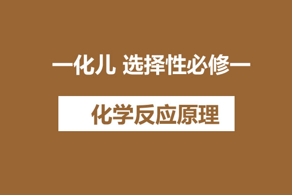 一化儿 选择性必修一 化学反应原理  网课视频第1张