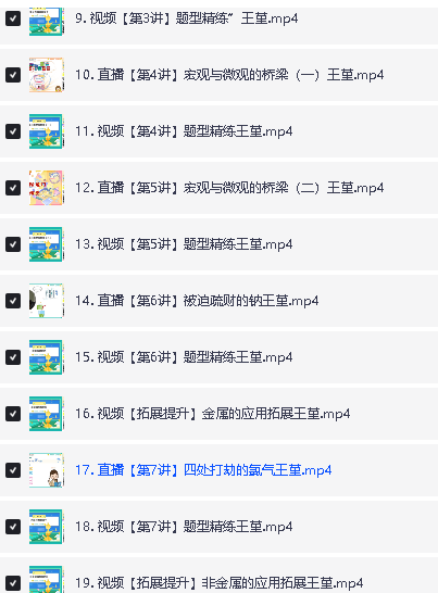 2024王瑾化学全年秋寒暑A+网课视频全套第7张