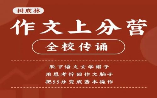【树成林】2024高三高考作文上分训练营2.0第1张