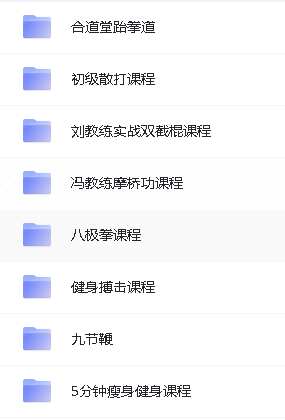 中华武术系列名师视频教程合集下载第4张