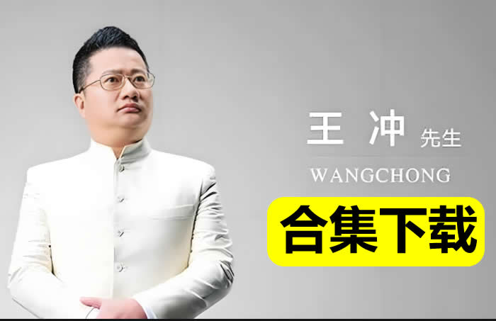 王冲视频课程全套合集下载第1张