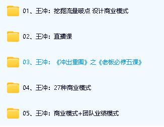 王冲视频课程全套合集下载第6张